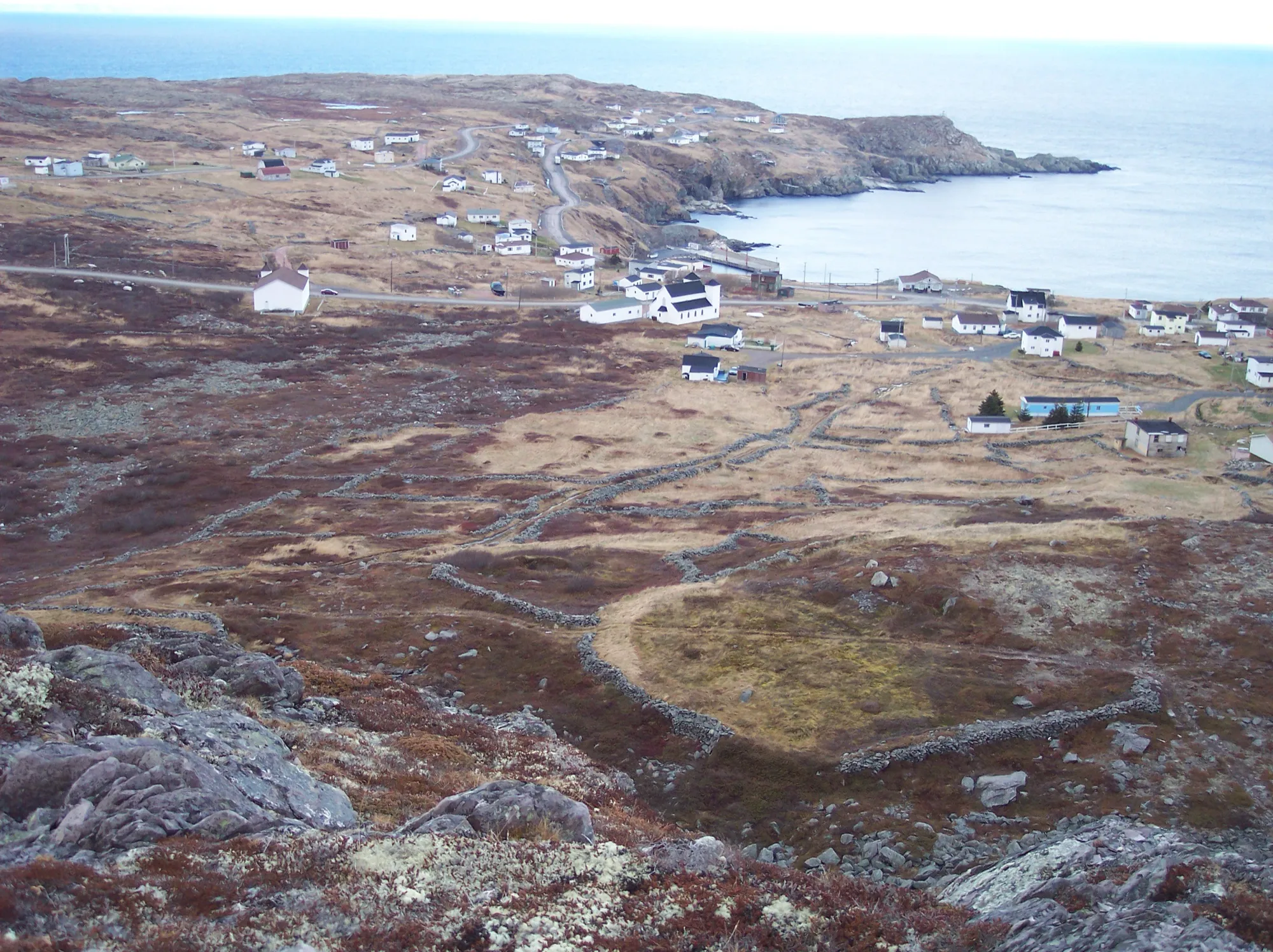 Grates Cove village and its stone-walled fields from above, sea and headland behind.