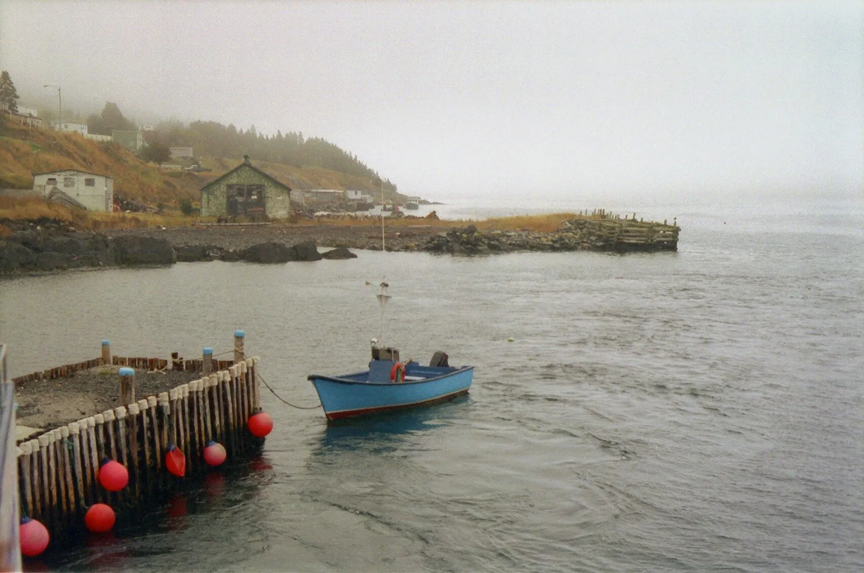 Bay Bulls harbour on a grey day: a small blue boat by a timber wharf hung with red buoys, the shore and houses behind.