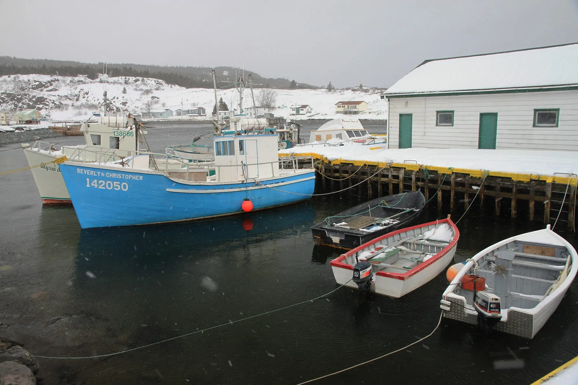 Brigus South's wharf in winter: a blue longliner and small boats tied up beside a white shed, snow on the hills.