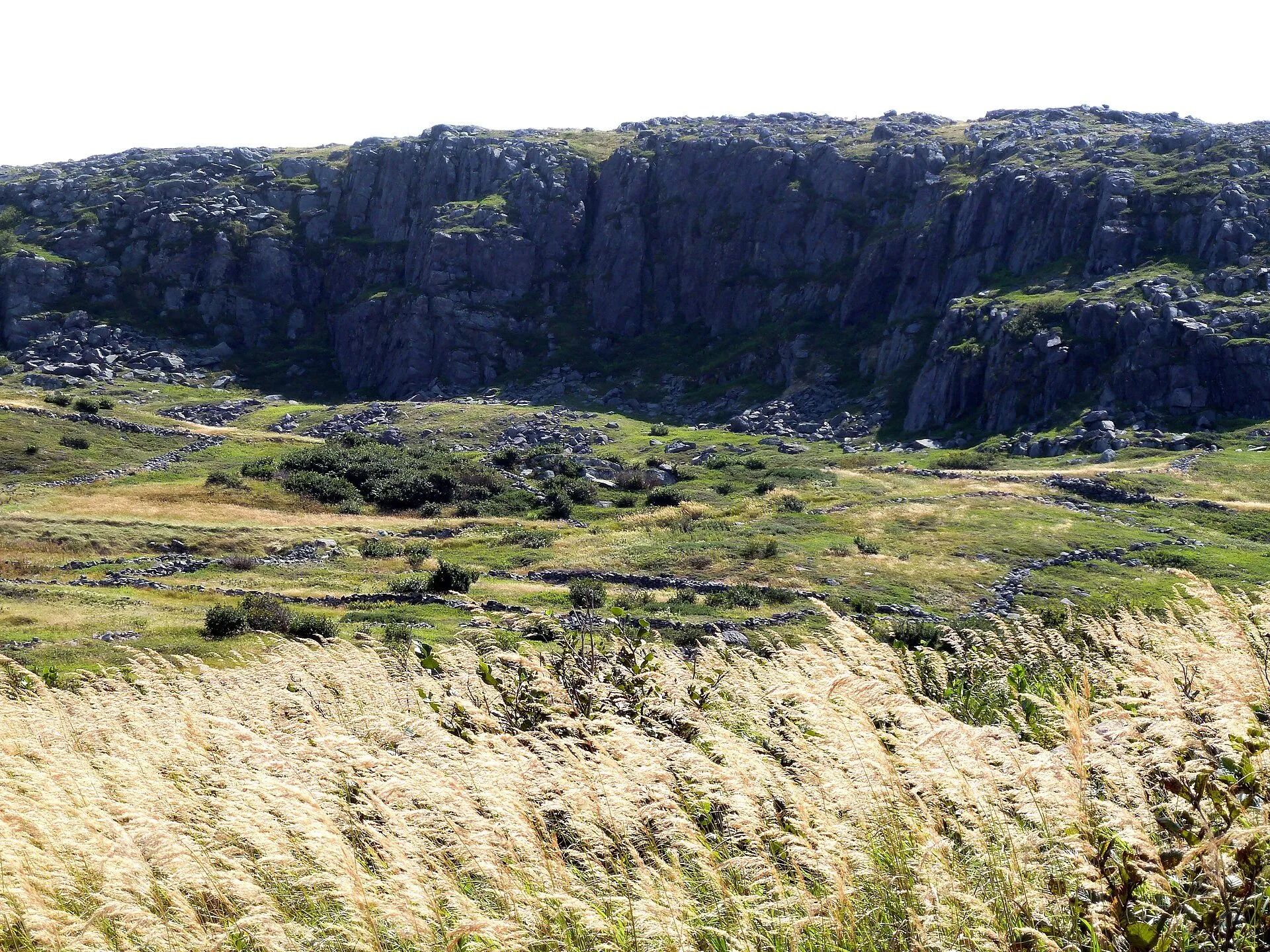 Rocky cliffs above the grassy fields of Grates Cove, where old stone field walls run through the meadow below.