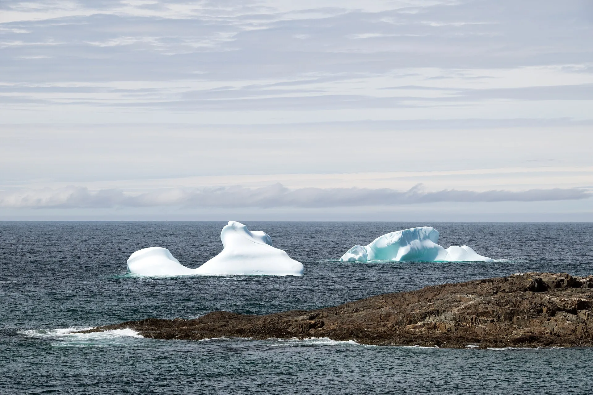 Two icebergs offshore near Fogo Island, seen across a low rocky headland.
