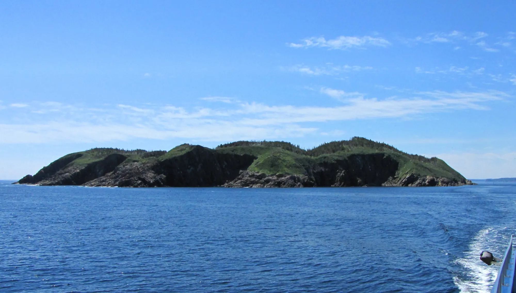 Gull Island in the Witless Bay seabird reserve, sunny blue sea.