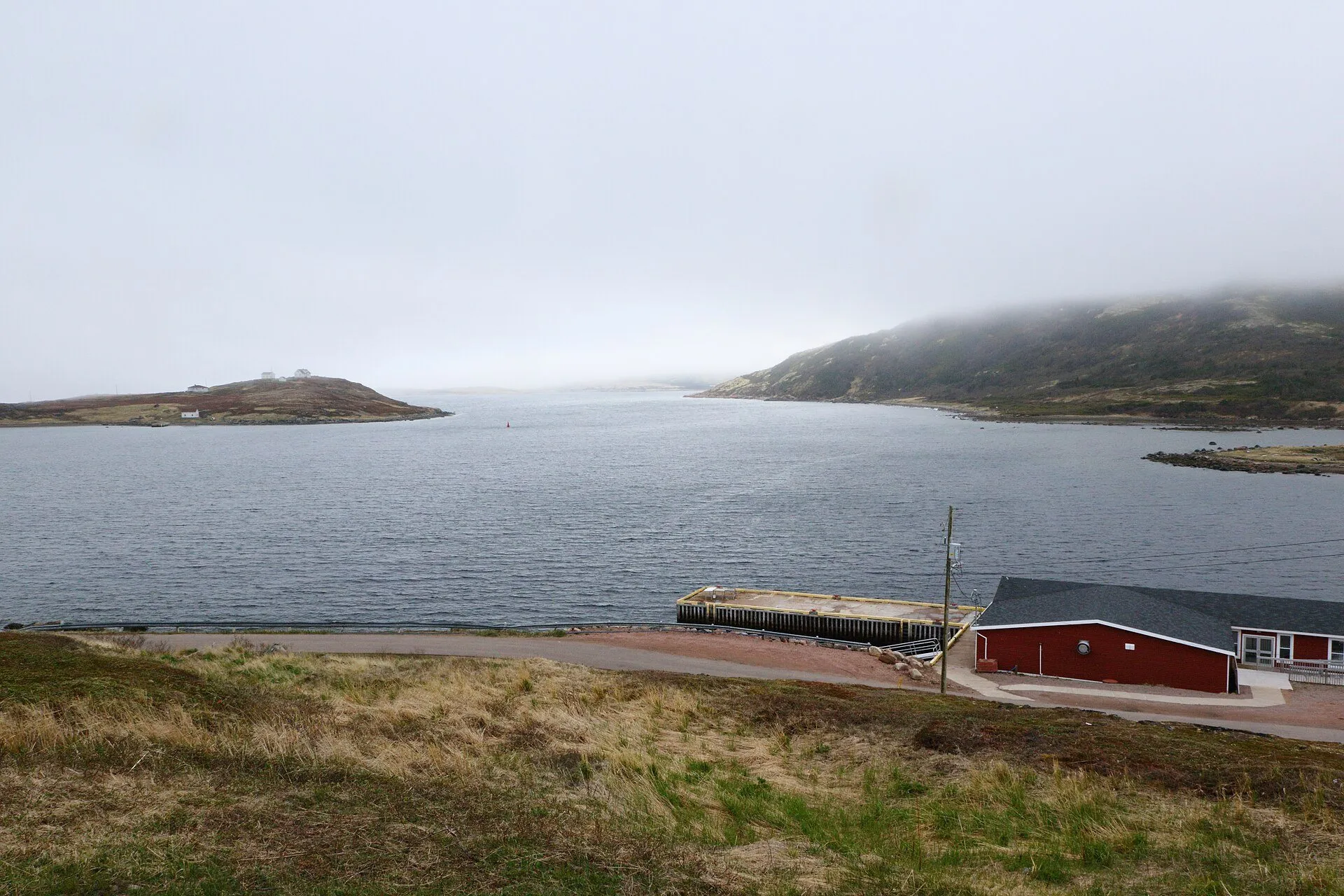Red Bay harbour with Saddle Island across the water and red-roofed buildings on the shore.