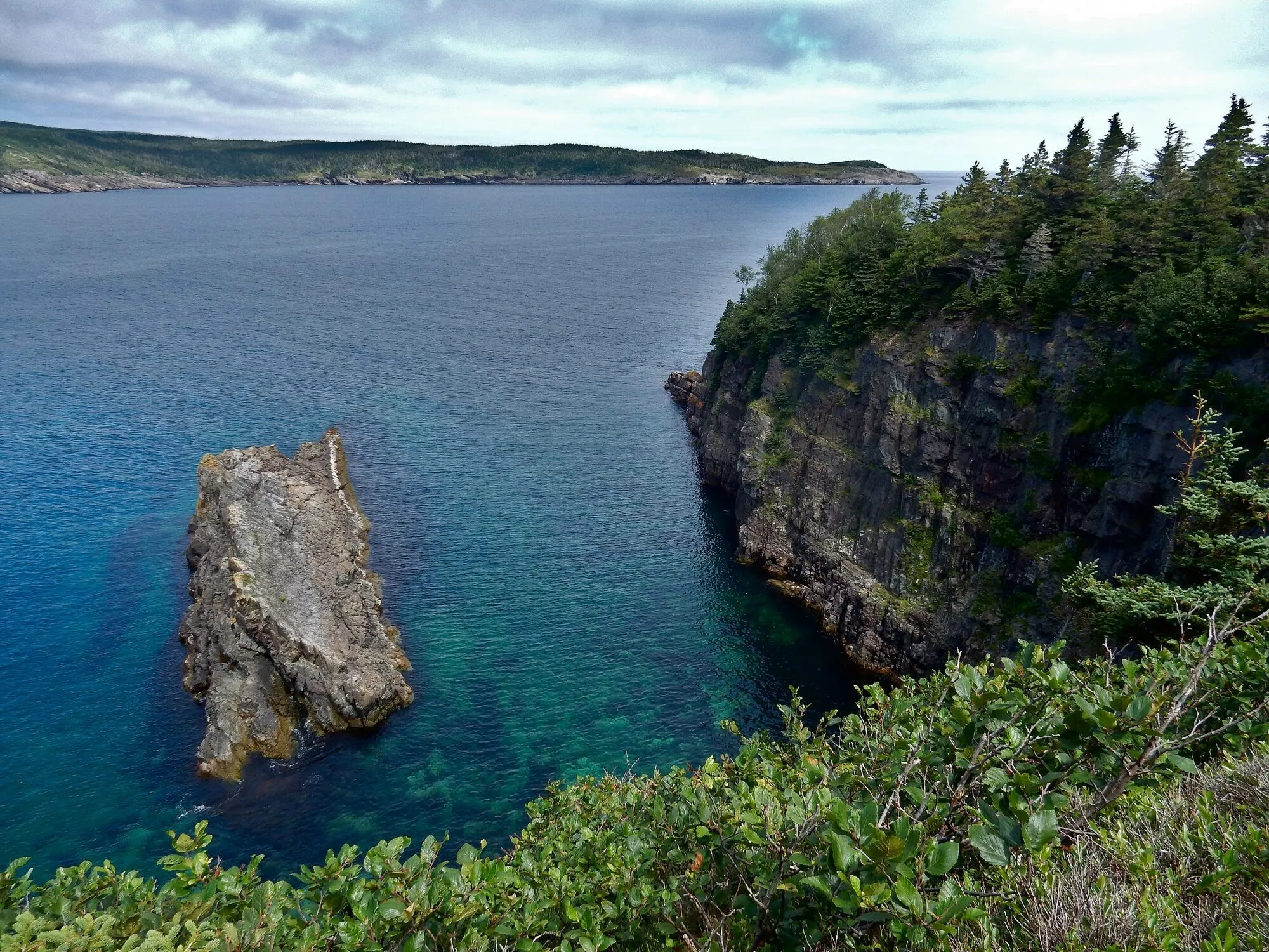A sea stack standing in clear green water beside a wooded cliff.