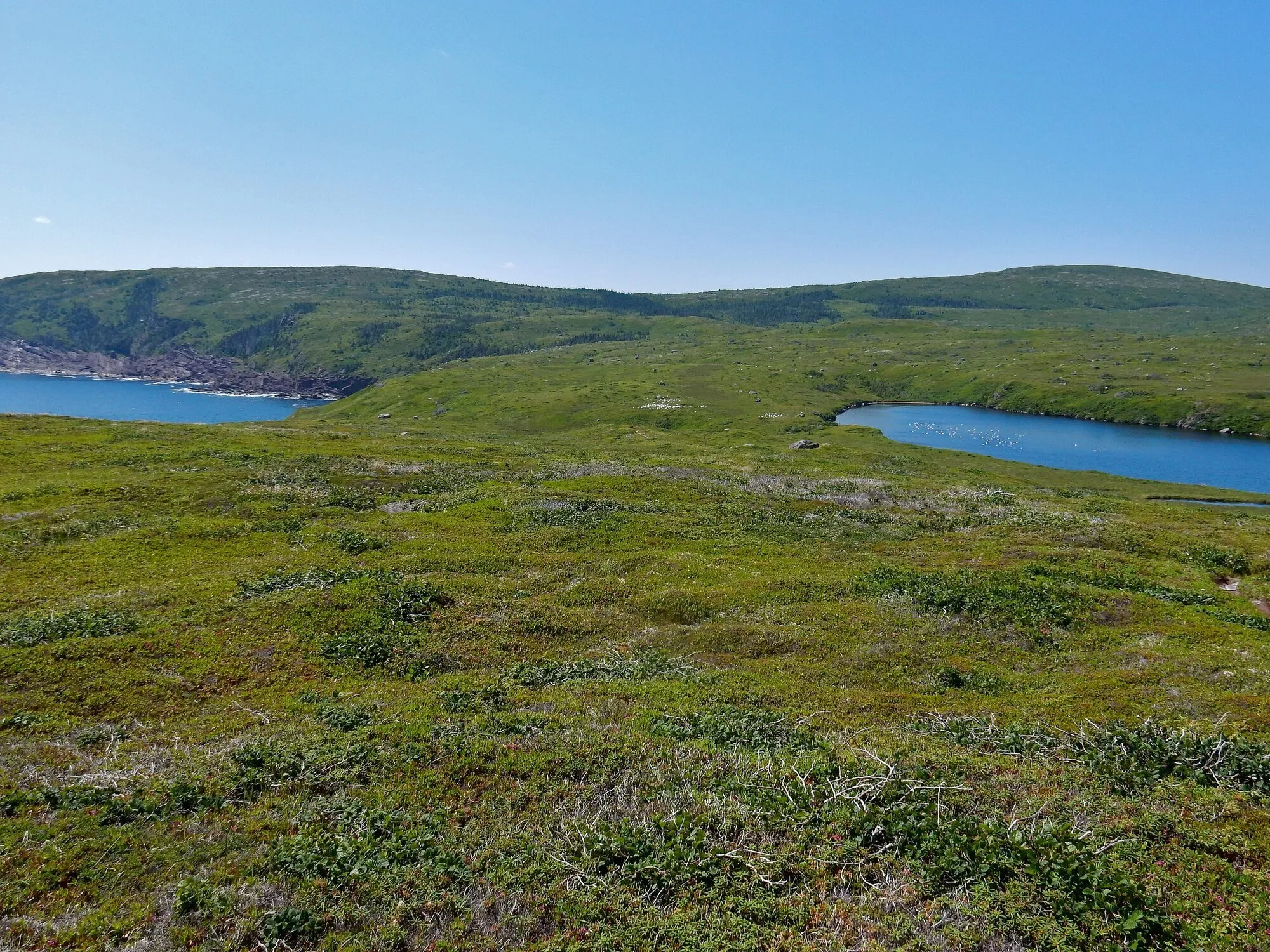 Open green barrens running down to water on both sides, with low wooded hills behind.