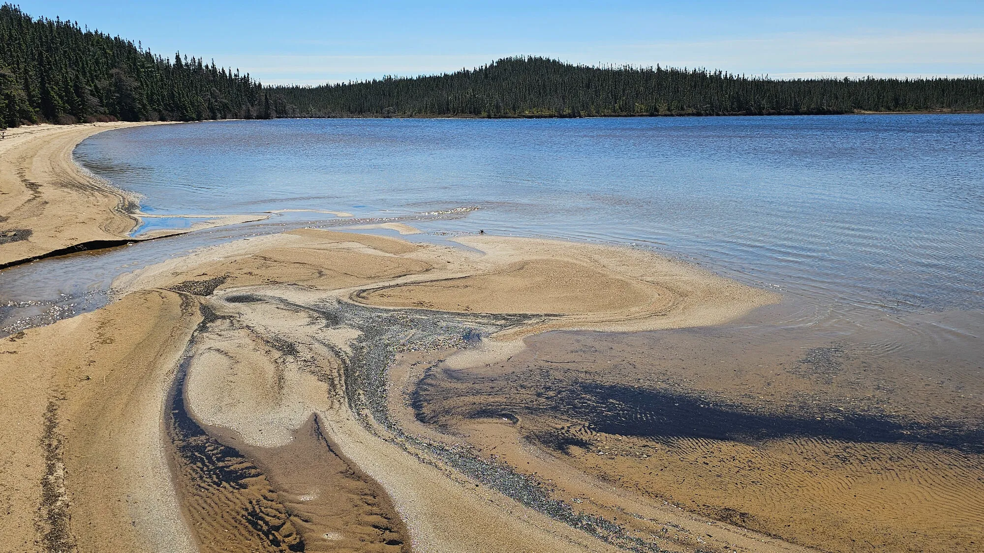 A sandy beach with sand bars in shallow water, spruce forest round the shore.