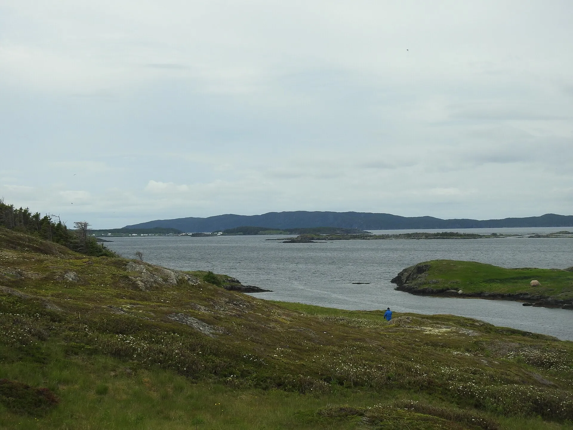 Looking west across the water toward St. Brendan's from Gooseberry Island — barrens, low spruce and the scattered houses of the settlement on the horizon.