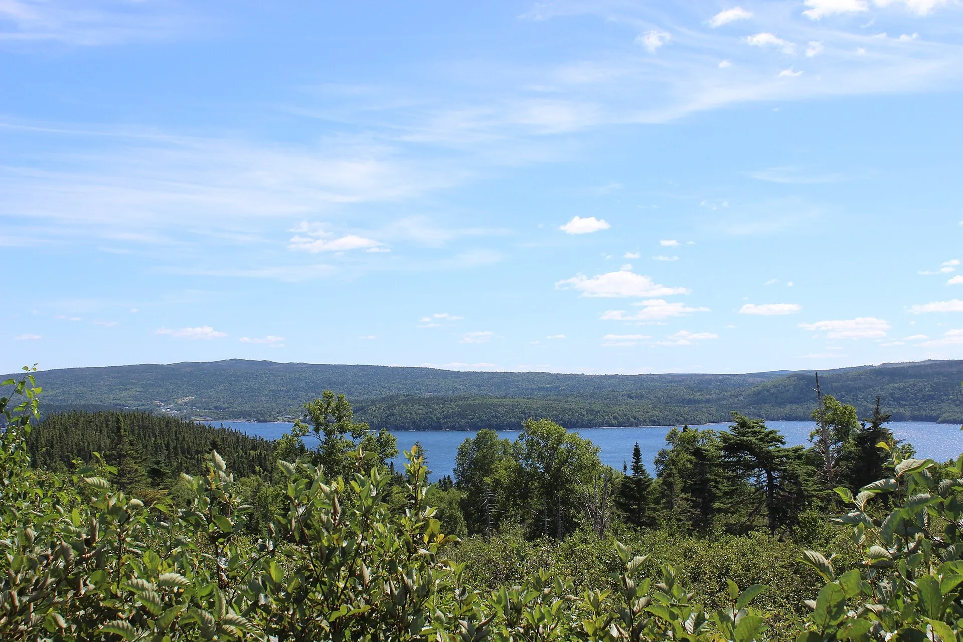Looking over the boreal forest of Terra Nova National Park to one of its sheltered sounds reaching in from Bonavista Bay.