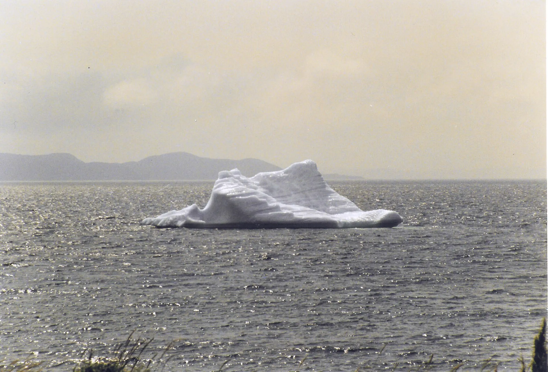 An iceberg grounded off Twillingate, seen from the shore on a clear day.
