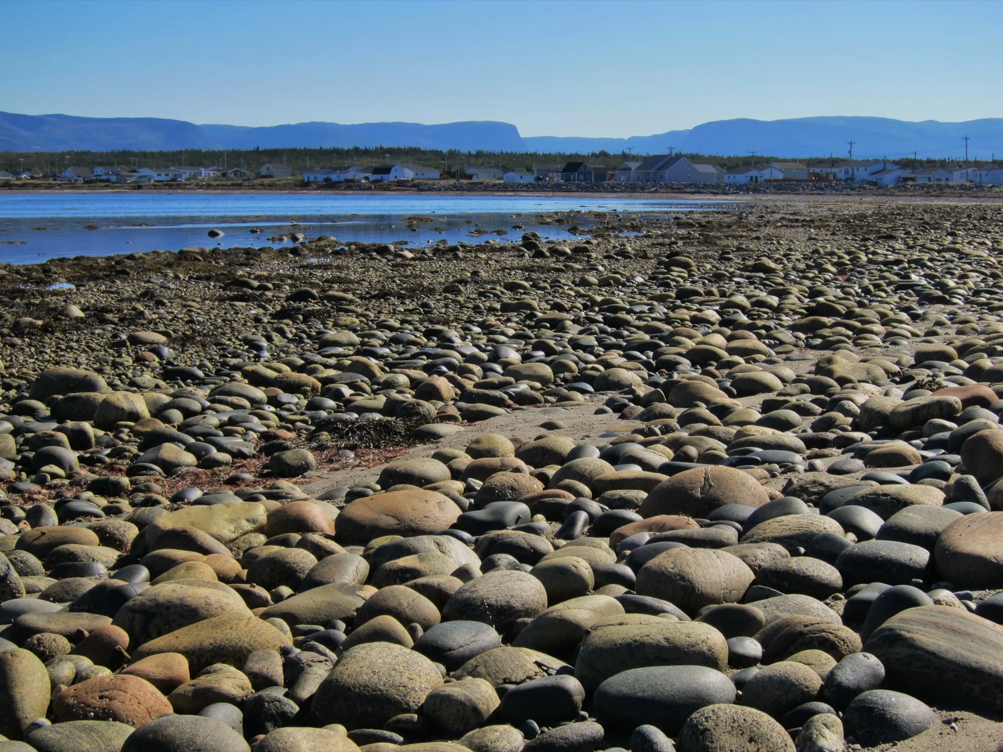 Boulder shore at low tide with Cow Head's houses and the Long Range Mountains on the horizon, bright day.
